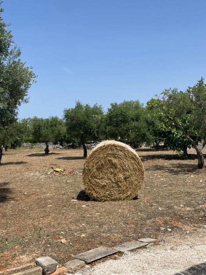 Villa Trulli Mancinella Locorotondo Exterior foto